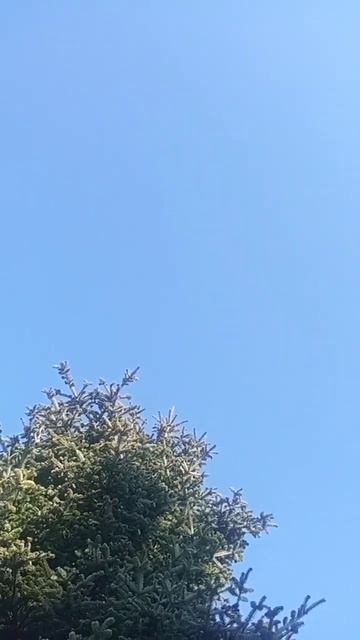 У каждого из нас есть волк... смотреть онлайн