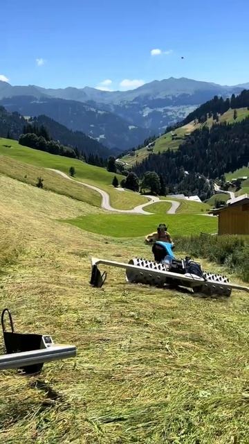 Траву косит современно#сегодня #трава#украина #косилк? смотреть онлайн