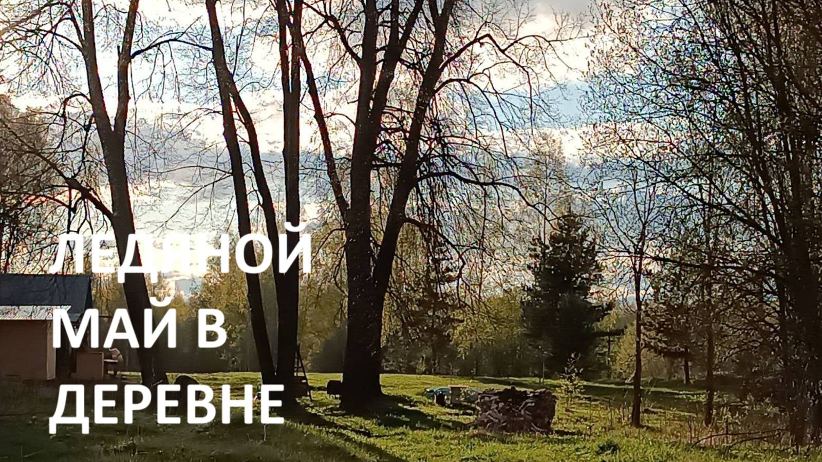 Ледяной май в деревне//борюсь с полезным сорняком//природа//ульи. смотреть онлайн