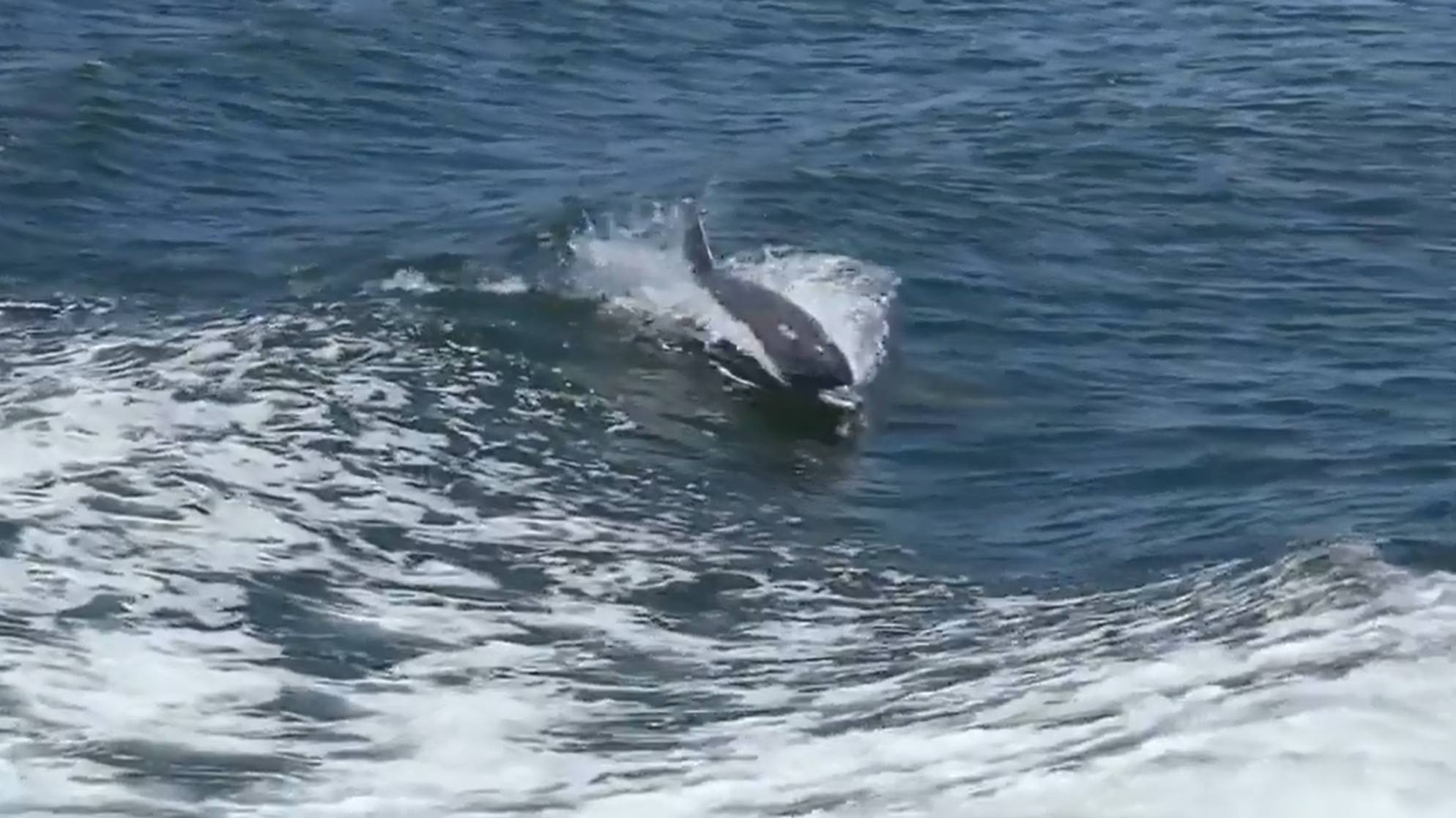 Времена года_релакс. Лето. А. Кэтлин