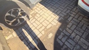 шины 205/65R15 для Шкода Рапид