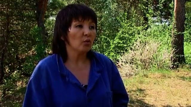 Программа 'Время по Компасу' - Акция "Чистый лес" (16.05.14) смотреть онлайн