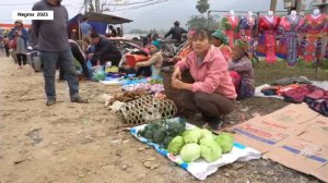 Дорис 22. Дорис идет на рынок продать овощи с огорода, кур и гусей