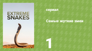 Самые жуткие змеи 1 серия «Австралия» (документальный сериал, 2023)