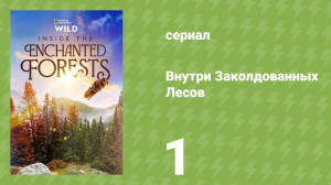 Внутри Заколдованных Лесов 1 серия «Тропические леса» (документальный сериал, 2024)