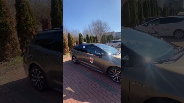 ‼️АРЕНДА АВТО‼️ #варшава #работа #европа #taxi #такси #ai смотреть онлайн