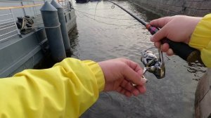 ОБЗОР КИТАЙСКОГО ТЕЛЕСКОПА✔✔✔