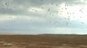 Заповедники и национальные парки России.