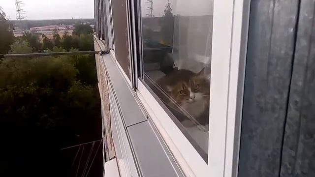 Сборник Убойных Видео Приколов 2015 #23 смотреть онлайн