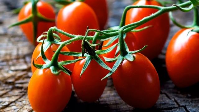 Посев томатов для рассады 2025: Советы и хитрости