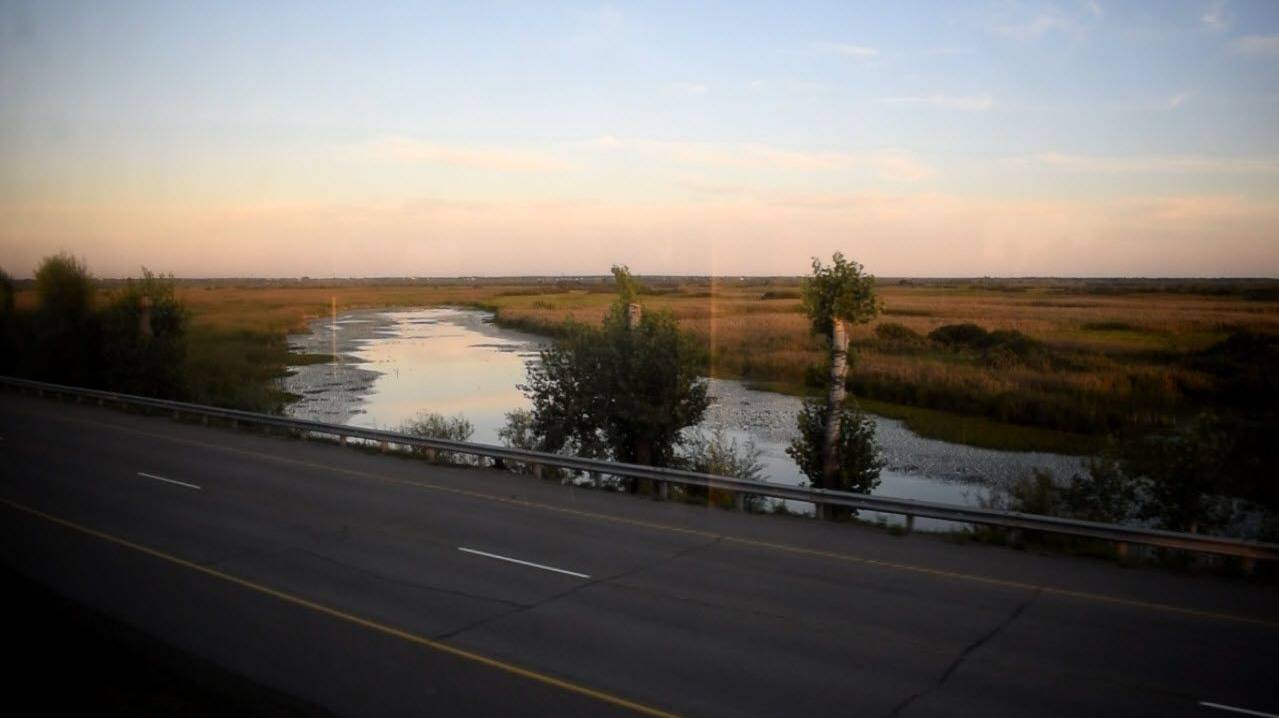 Электропоезд ЭД9М-0154. Покатушки от Присягино до Развилки.