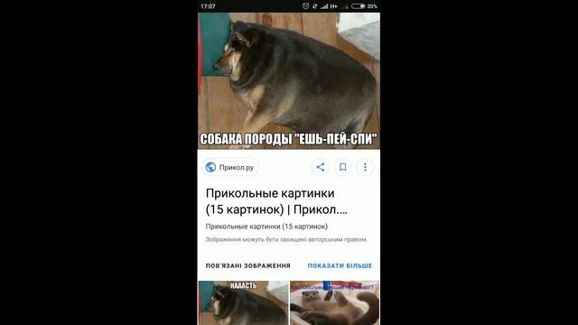 Приколы. Картинки с озвучкой. НЕГРУСТИН! ВОЗЬМИ ПАЧКУ, ПОЛУЧИ ЗАРПЛАТУ!!! смотреть онлайн