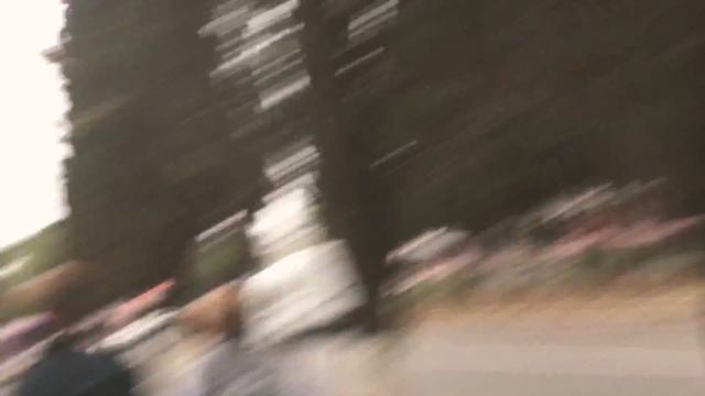 ВФМС2017 день 2