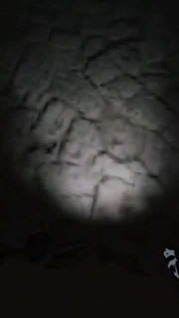 У меня праздничный фонарик! #coop #horrorplayer #shorts #short смотреть онлайн