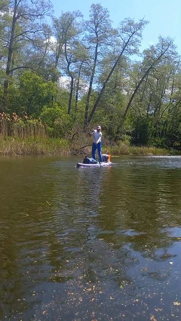 Я жду, догоняй!