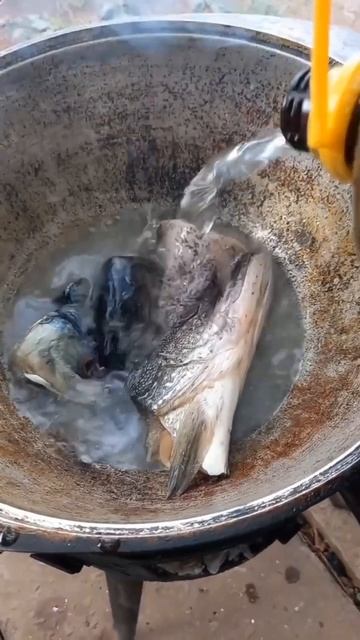 Ушица смотреть онлайн