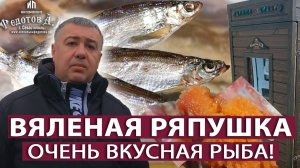 РЯПУШКА. Вяление в коптильне ИП Федотов А.В. с турбосеткой. Весь процесс подробно.