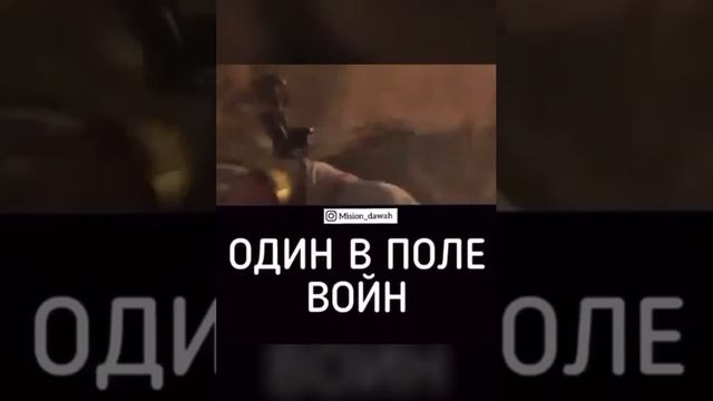 один поле воин смотреть онлайн
