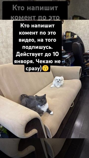 Новогодняя акция❄. Немного опоздал)