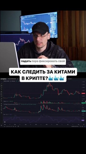 Как следить за китами в крипте? | Обучение трейдингу смотреть онлайн