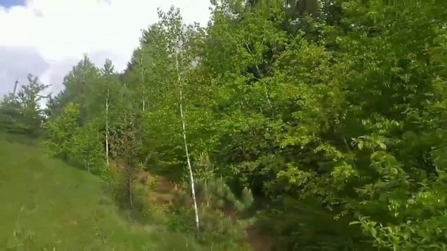 В гостях у моей Тещи|Интересные истории из жизни. смотреть онлайн