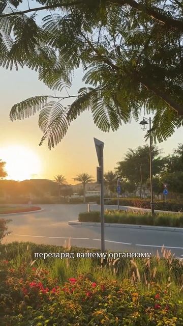 Польза солнца для глаз. Утренний свет помогает «сброс?