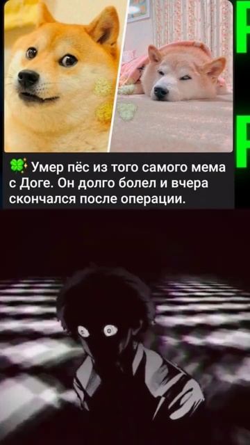 покойся с миром... 🕊️🕊️ #дог #смерть #актив #легендар? смотреть онлайн