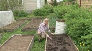 Посадка клубники в грунт. ВСЕ О ВЫРАЩИВАНИИ КЛУБНИКИ