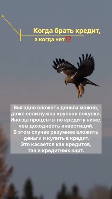 Рассказываем про долги и кредиты! #финансы #финансовая смотреть онлайн