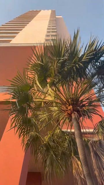 #видео #путешествия #вьетнам #обзор #юмор #рек #скидки #р