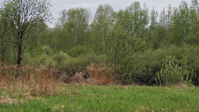 1000056717.mp4 смотреть онлайн