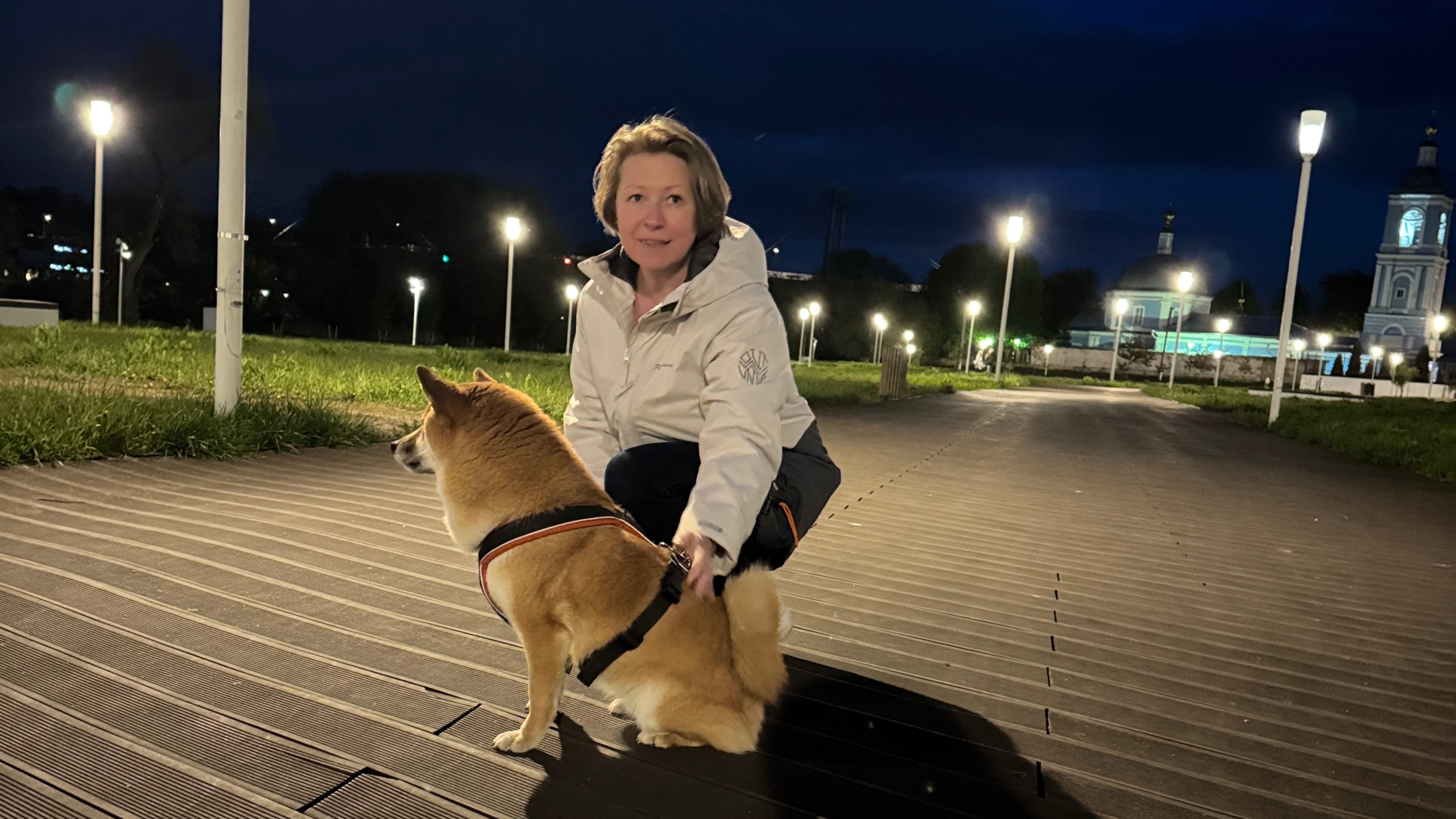 Три года жизни с сиба-ину. смотреть онлайн