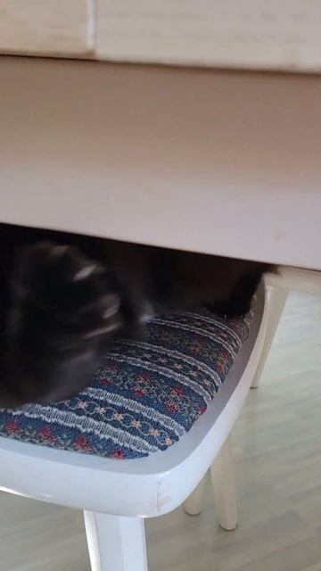 #шило в одном месте #суета сплошная смотреть онлайн