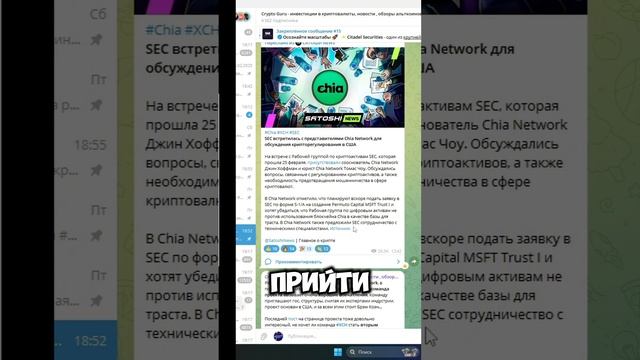 Громкие парнерства Chia Network - Cryptoguru - смотреть онлайн