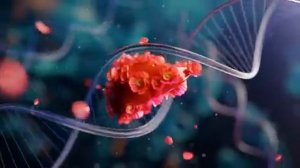 11-05-2025  Печень как в 20. Матрица Гаряева.