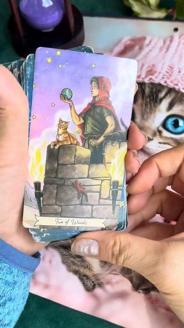 КАРТА ДНЯ. О ЧЕМ ХОТЯТ СКАЗАТЬ ВЫСШИЕ СИЛЫ ПРЯМО СЕЙЧА?