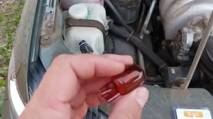 Нива Тревел и Замена Лампы ДХО