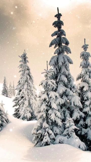 10.12.2022. Белый, белый, белый снег. ❄❄❄❄❄❄ смотреть онлайн