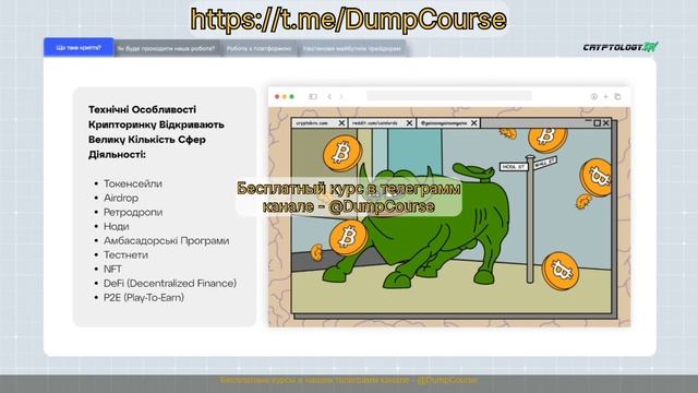 Cryptology 15.0 2025 - полный курс бесплатно