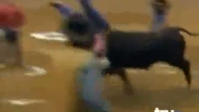 Шутки онлайн безупречное видео оленей смотреть онлайн