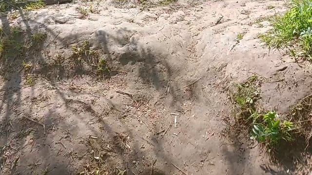 Река Переборка. 28 мая 2023.Подводный мостик: