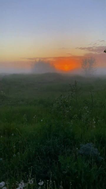 Рассвет в поле смотреть онлайн