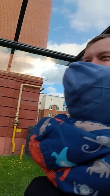 Мы гуляем на заливе смотреть онлайн