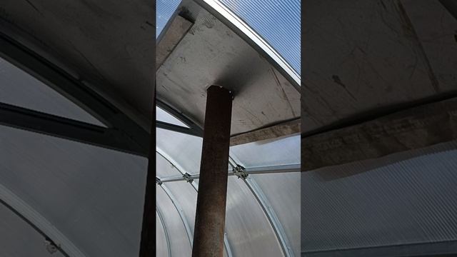 Как спасти от возвратных заморозков помидоры в теплице смотреть онлайн