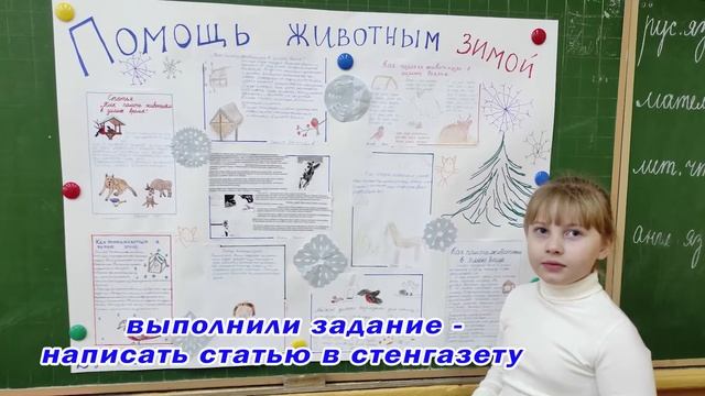 Поможем братьям нашим меньшим