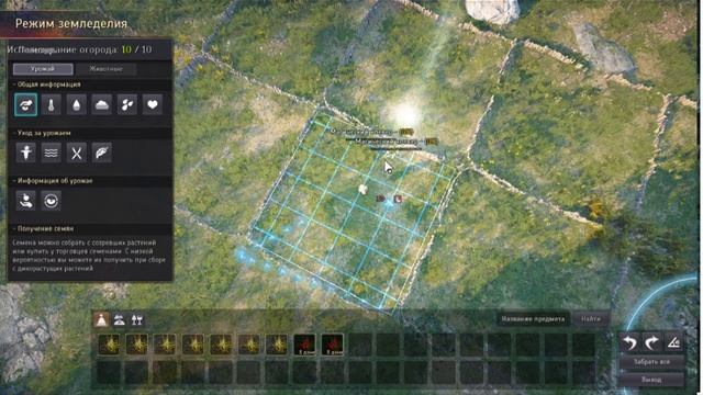Black Desert - Изи квесты Гильдии луны, крафт огород, рыбалка смотреть онлайн