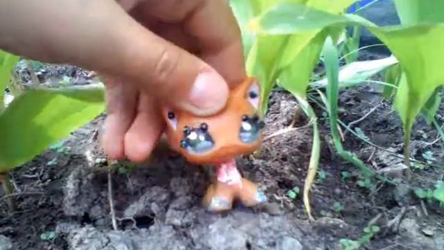 Клип про лпс No