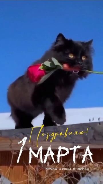 с первым апреля у вас спина белая #актив смотреть онлайн