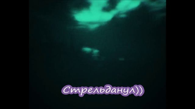 Стрельданул)))