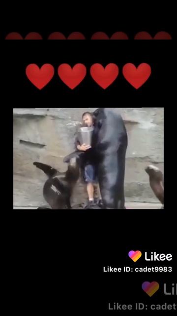 милая видео можешь сейчас заплакать😭😭😭 смотреть онлайн